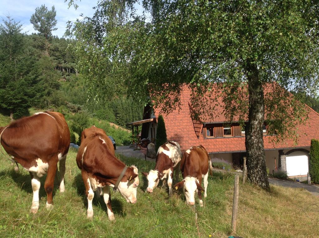 Holzbildhauerei Kammerer * Triberg im Schwarzwald